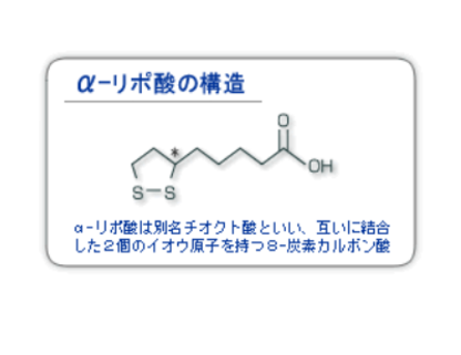 Kobayashi Kako Альфа-липоевая кислота (тиоктацид) для в/в инъекций 25 мг